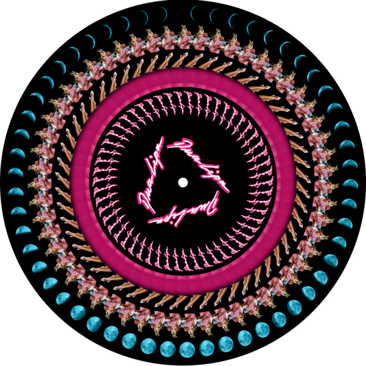 Dua Lipa - Future Nostalgia (Zoetrope Vinyl) - Vinyl Planet 2020