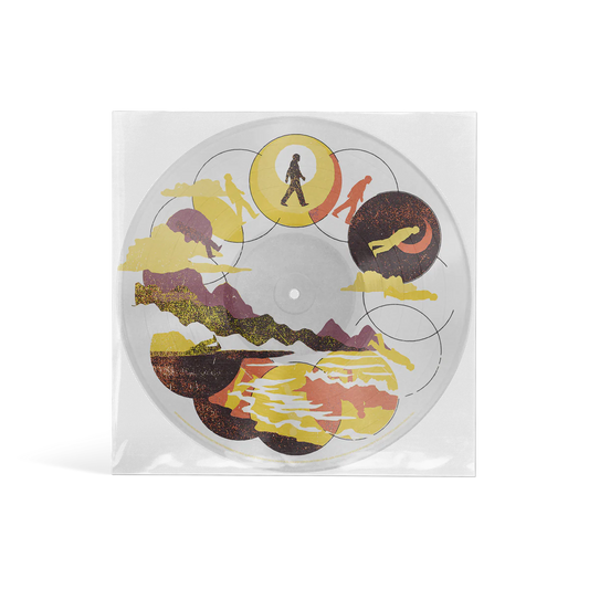 Louis Tomlinson - How Did I Get Here? (Picture Disc Vinyl)